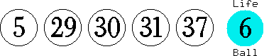 05 29 30 31 37 (06)