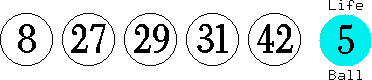 08 27 29 31 42 (05)