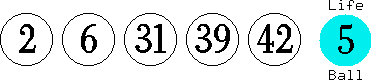 02 06 31 39 42 (05)