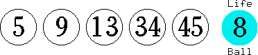 05 09 13 34 45 (08)