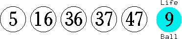 05 16 36 37 47 (09)